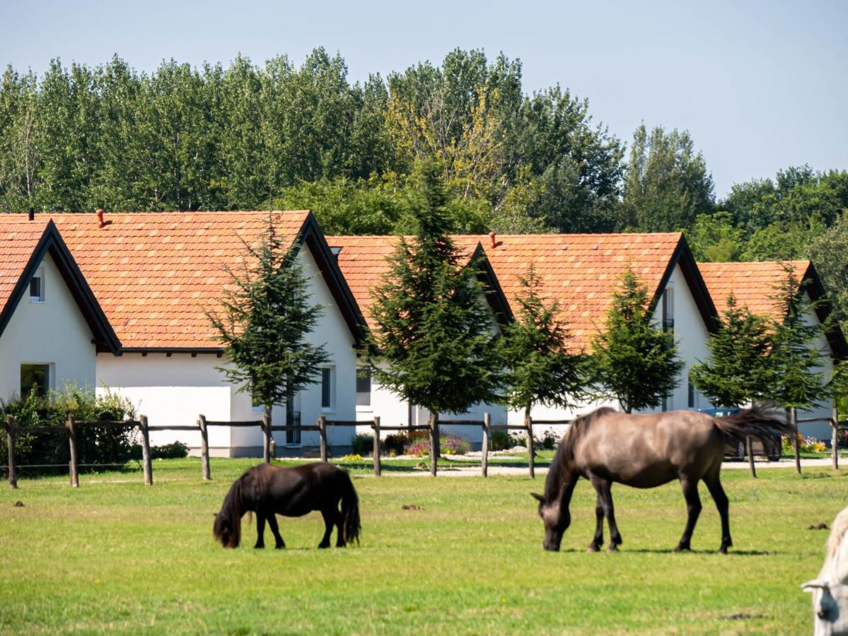 Ugo Apartman Halászi Exterior foto